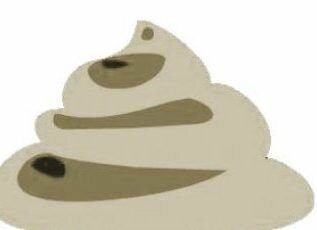 ΠΡΠ°Π½ΠΆΠ΅Π²ΡΠΉ ΠΊΠ°Π» Ρ Π²Π·ΡΠΎΡΠ»ΠΎΠ³ΠΎ