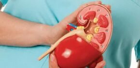 ΠΠΎΡΠΊΠ° Π² ΡΠ°Π·ΡΠ΅Π·Π΅